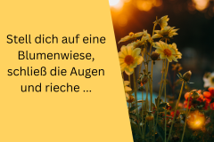 Inspiration für Gedichte durch Sinneseindrücke 3 - 1